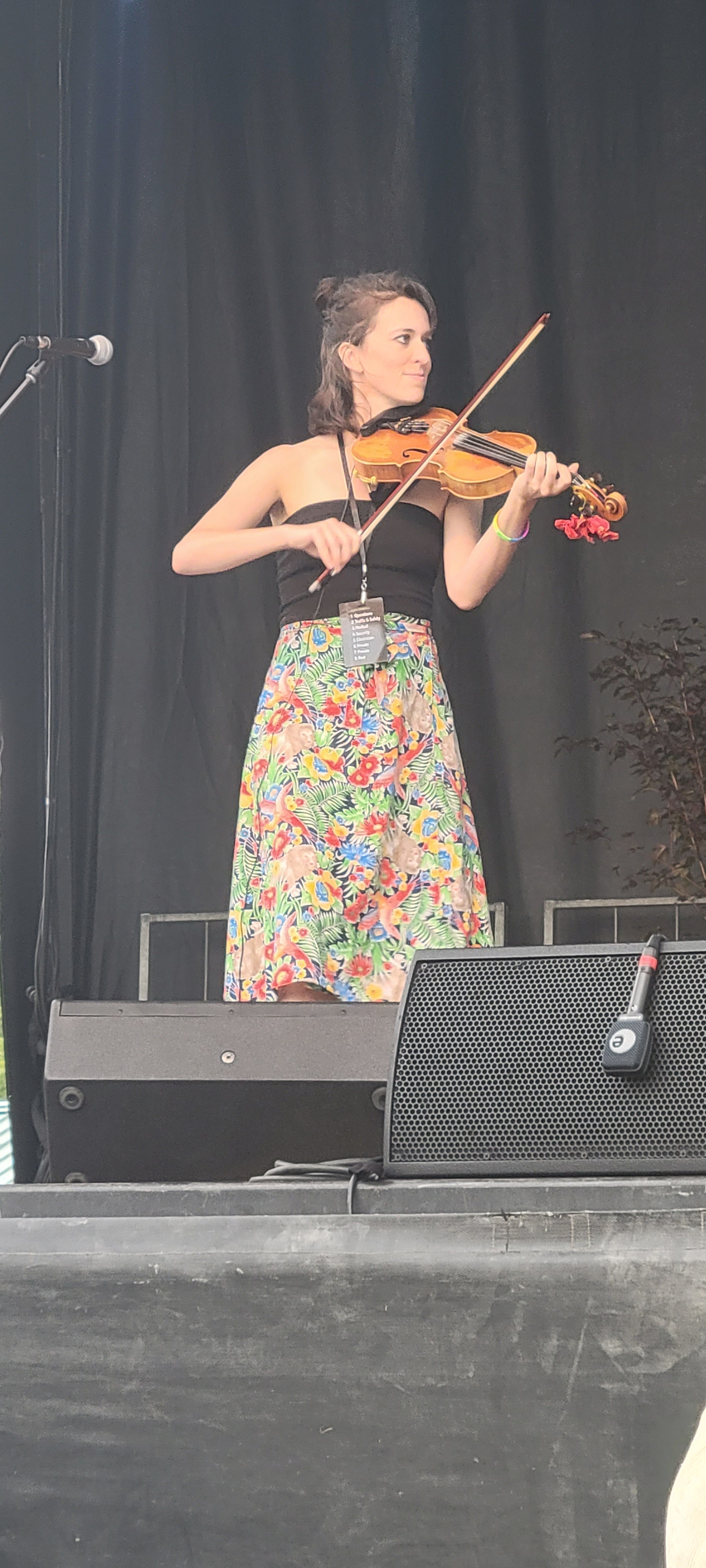 Hawktail2024-08-16GreenMountainBluegrassAndRootsFestivalManchesterVT (2).jpg